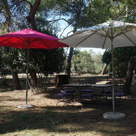 Joli Mas Au Bord De L'Etang De Thau Villa Marseillan  Buitenkant foto