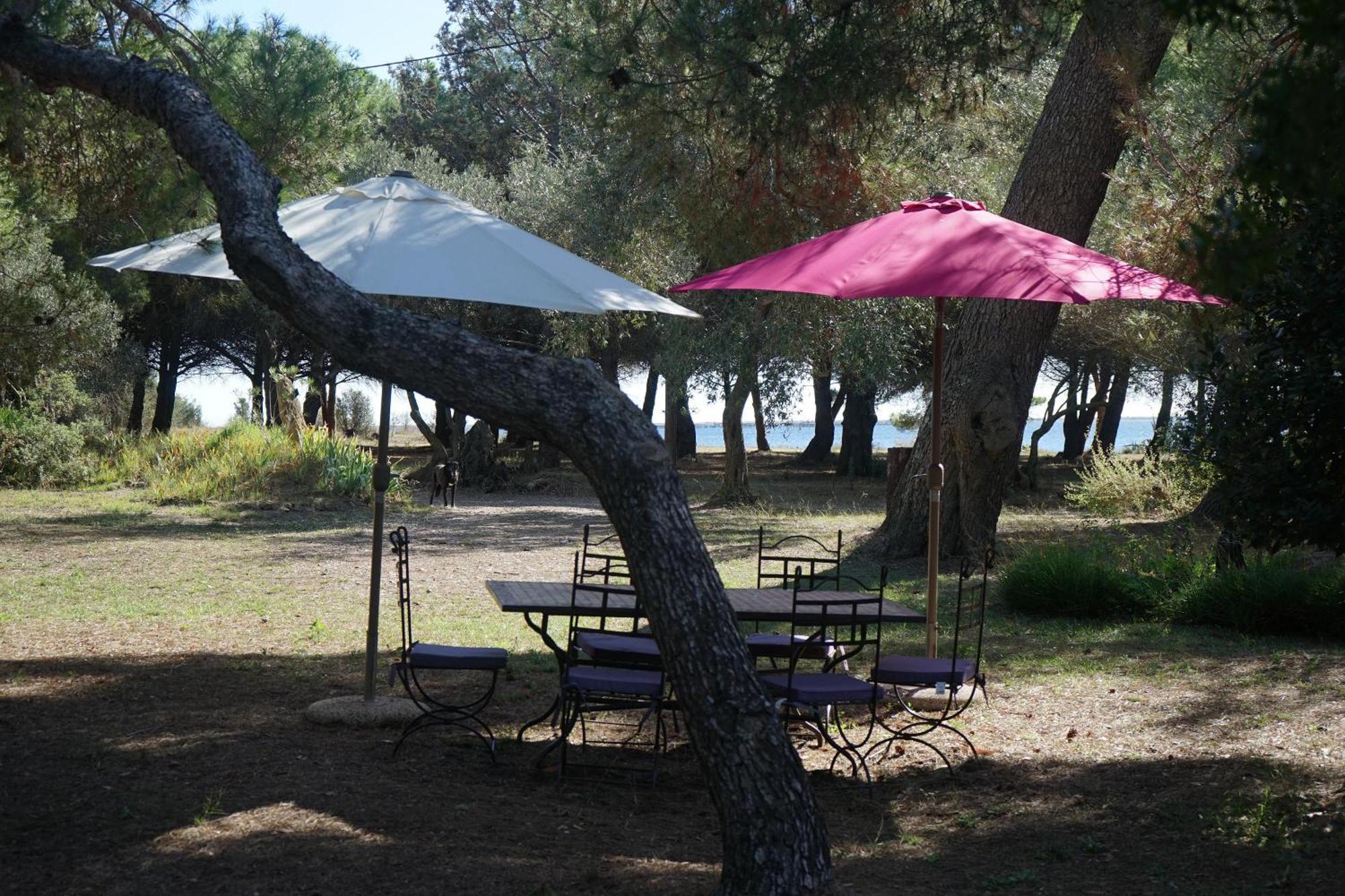 Joli Mas Au Bord De L'Etang De Thau Villa Marseillan  Buitenkant foto