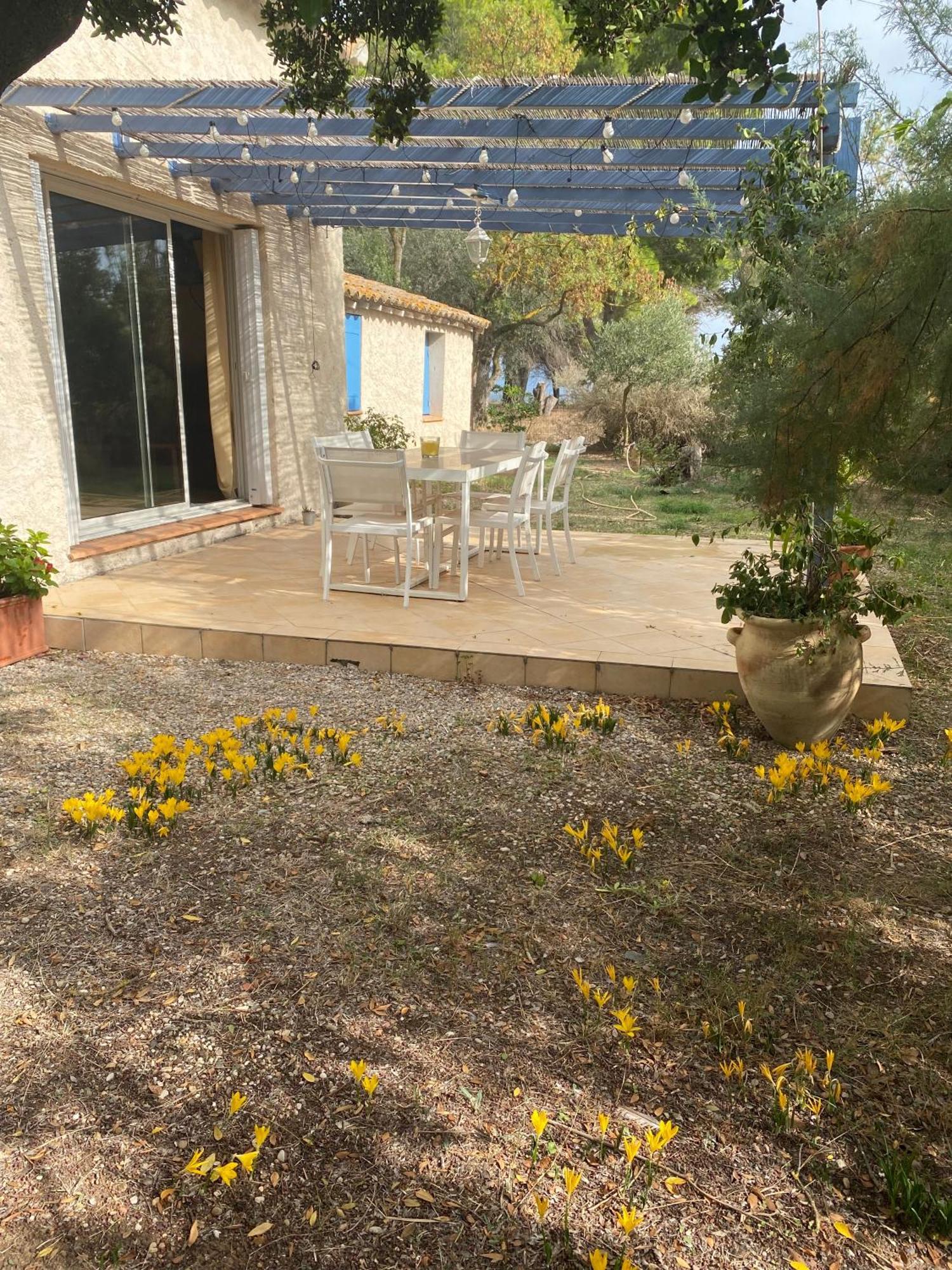 Joli Mas Au Bord De L'Etang De Thau Villa Marseillan  Buitenkant foto